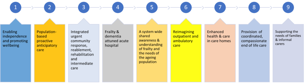 Diagram depicting the 9 areas of work for the ageing well strategic framework