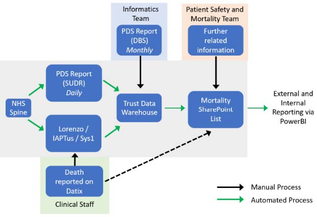 Diagram of the new mortality recording and reporting process