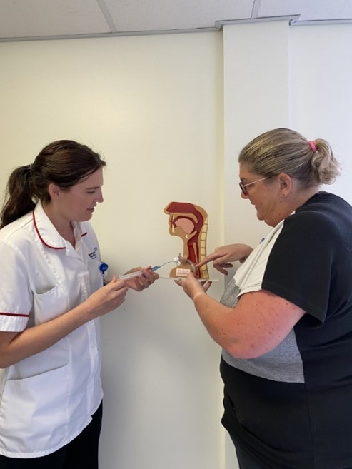 speech and language therapists looking at a model of a throat